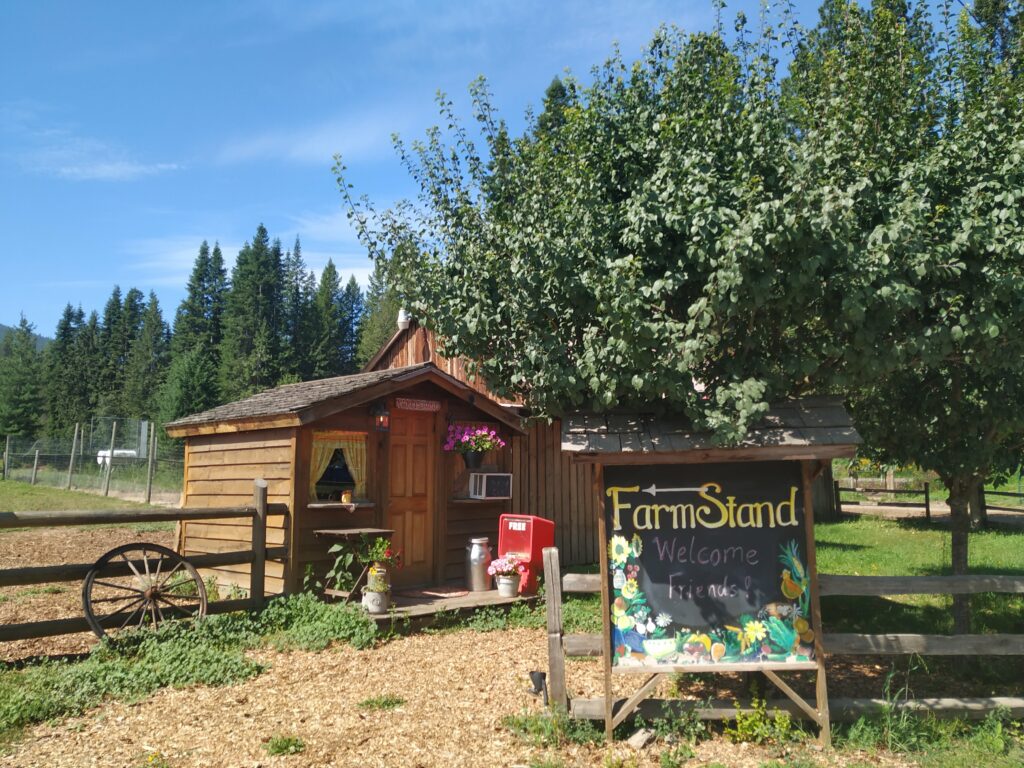 The Twelve Tribes in Nelson, B.C., run a trust-based farmstand.